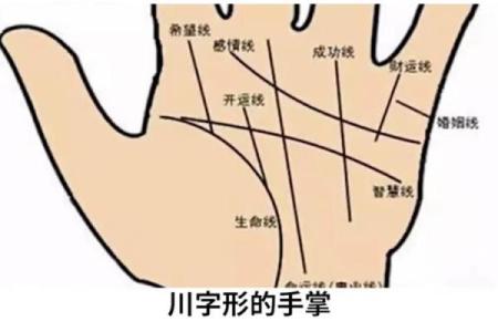 手相解密：看掌中线纹，读懂你的命运奇迹！
