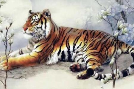 属虎的人在2023年10月23日的运势分析与生活命理探讨