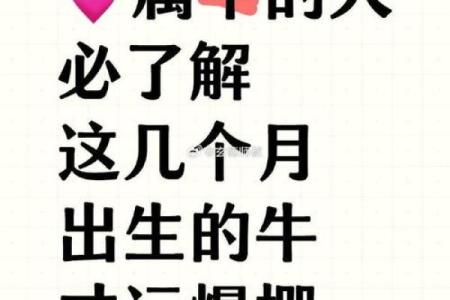 属牛男人的命格解析：哪种命格最适合他们的人生道路？