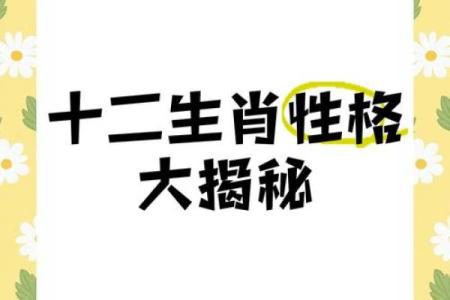 属相与命运：揭示你性格与命运的秘密