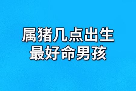 解析平地木命属猪：四季轮转中的智慧与韧性