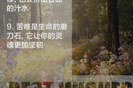 属羊的我：为何今年命运多舛，踏上逆境之路？