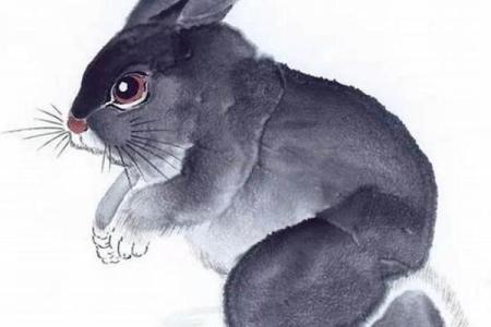 87年属兔人的命运分析：个性、事业与感情的深度探讨