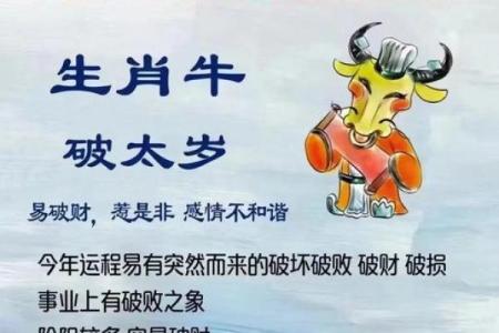 属牛之人：20点出生的命理分析与生活智慧