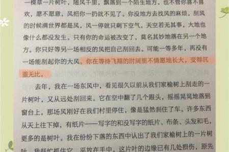 审命记：探索生命的智慧与命运的奥秘