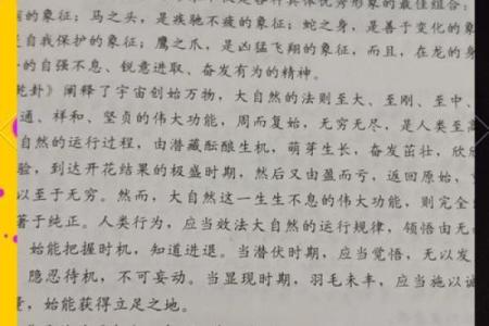 适合学习周易专业的人命格解析：追寻智慧与启示的道路