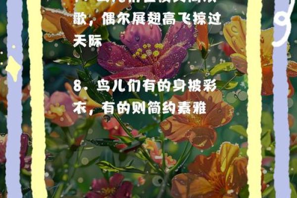 女命一身轻：探寻象征自由与灵动的动物