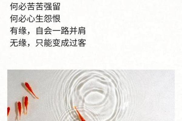 揭秘生辰八字与二妻命:缘分与命运的交织 揭秘生辰八字与二妻命:缘分与命运的交织