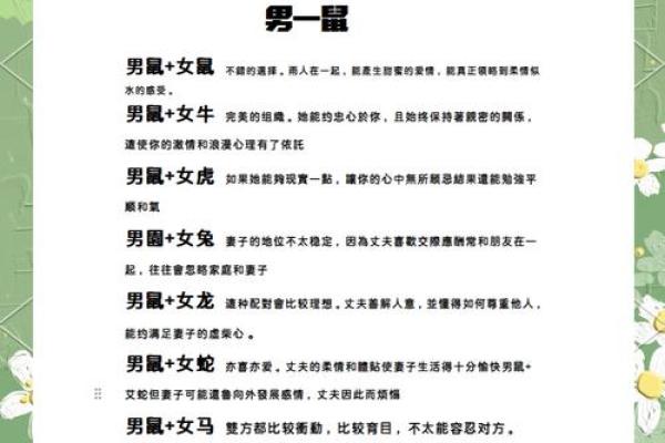 属鼠木命与相克生肖的和谐之道探讨