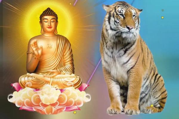 农历五月虎命解析：掌握命理，迎接好运的秘诀