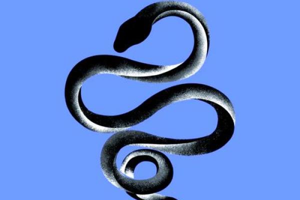 揭秘生肖之谜：蛇与龙在命理中的深度解析