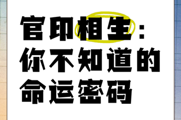 男孩子命带官印：解密命理中的人生轨迹与幸福之道