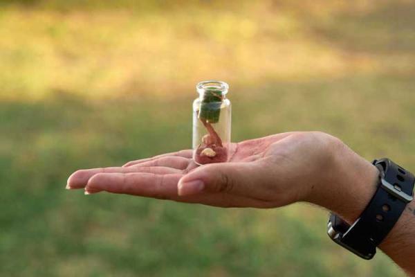 46岁属兔人士的命理解析：走出困境，迎接美好人生