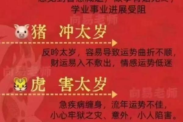 属羊马烈如日中，命运解析与人生启示