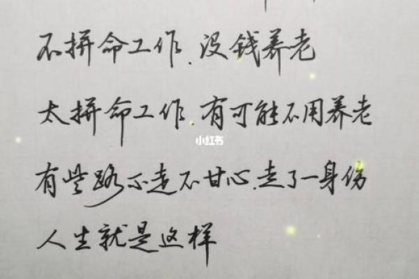 属羊马烈如日中，命运解析与人生启示