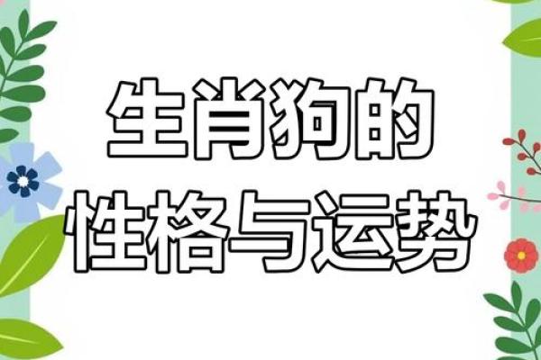属狗人的命运与颜色：揭示运势与生活的秘密