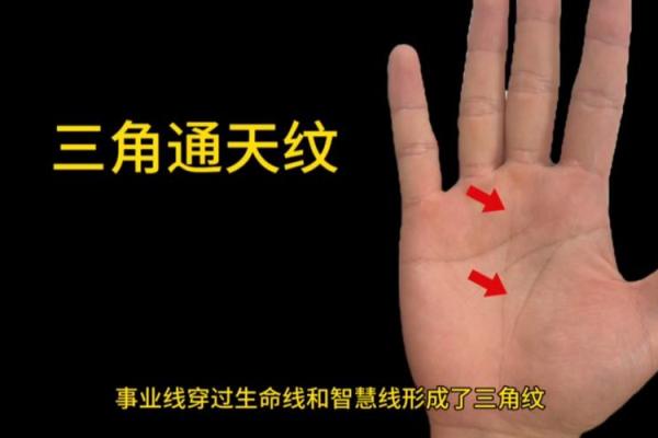 手心三角纹,揭示命运的秘密与人生的指引 手心三角纹,揭示命运的秘密与人生的指引