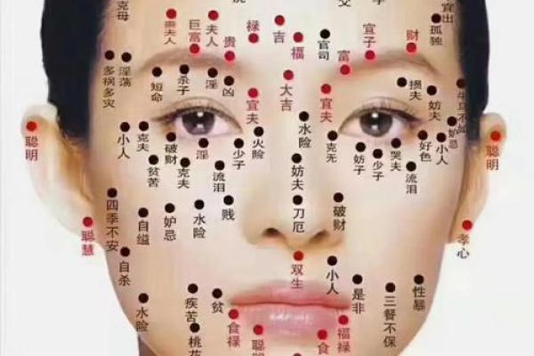 面相分析：如何通过面相判断一个人的命运与魅力