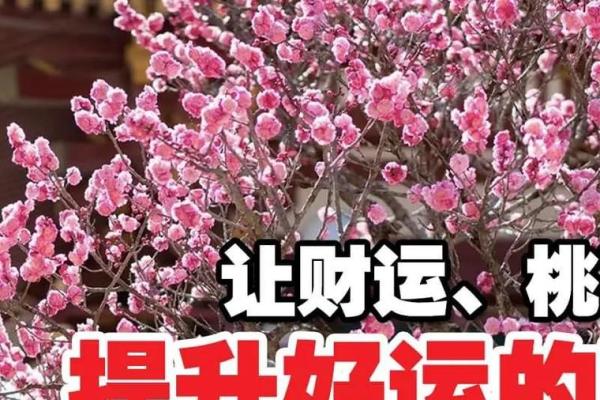 属虎命里缺木，佩戴什么能催旺财运？