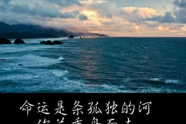 命运之舟：我为何觉得自己的命运不如意？