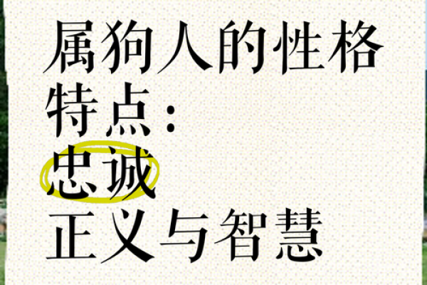 属狗女7月份出生的命理解析:智慧与坚韧的结合! 属狗女7月份出生的命理解析:智慧与坚韧的结合!