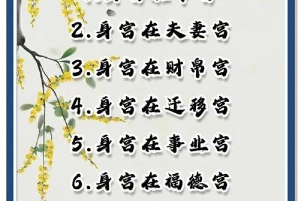 身命与胎身命的深刻解读与人生启示 身命与胎身命的深刻解读与人生启示