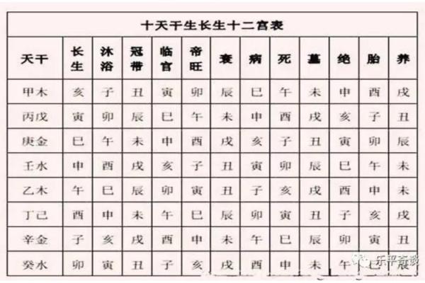 身命与胎身命的深刻解读与人生启示 身命与胎身命的深刻解读与人生启示