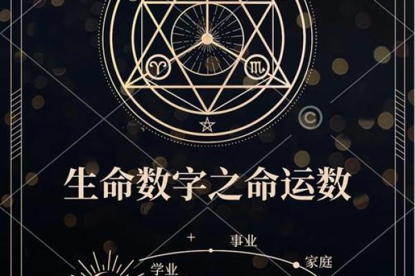 人与命运：探寻生命的真谛与宿命的奥秘