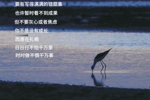 命运交错:从日时相逢看人生的转折与启示 命运交错:从日时相逢看人生的转折与启示