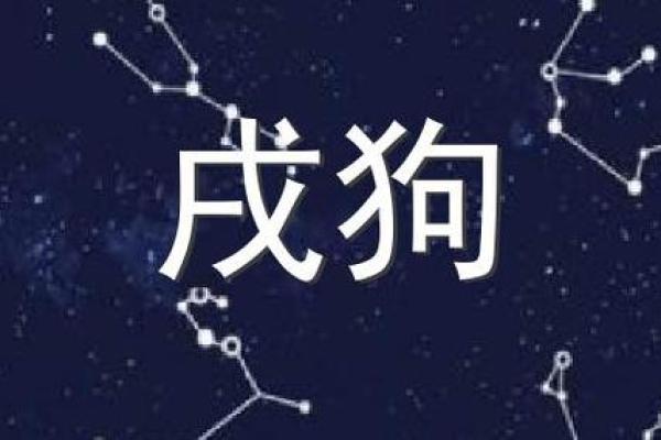 生辰属狗者命格解析：从生肖看人生轨迹与运势