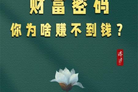 属鼠人的财富密码：适合从事的盈利行业与职业探索