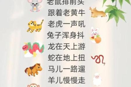 解析狗羊命理：相生相克的深层寓意与生活启示