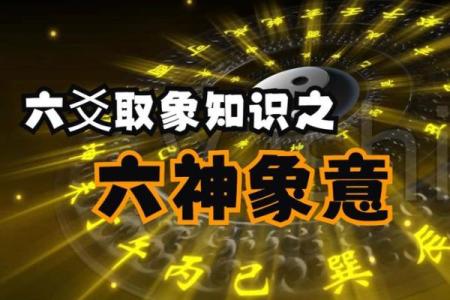青龙吸水命：命理中的神秘象征与人生启示