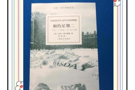 认识72岁兔子的命运与人生智慧：岁月的积淀与灵性的启迪