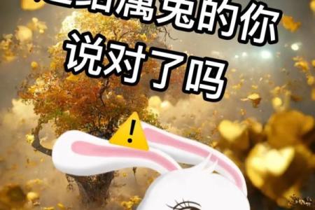 46岁属兔人士的命理解析：走出困境，迎接美好人生