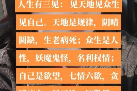 人为什么会嗜钱如命：欲望与生存的交织之道