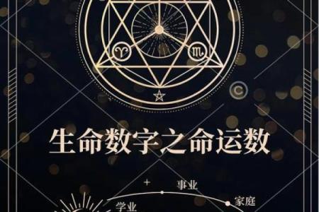 人与命运：探寻生命的真谛与宿命的奥秘