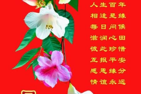 命运交错：从日时相逢看人生的转折与启示