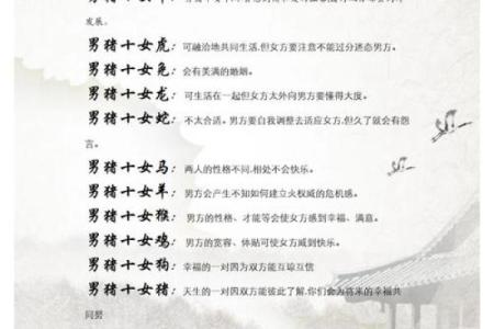 属猪人五行命格解析 了解你的性格与命运之钥