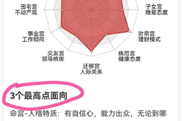 男命子女宫解析：解锁命理中的秘密与品味人生