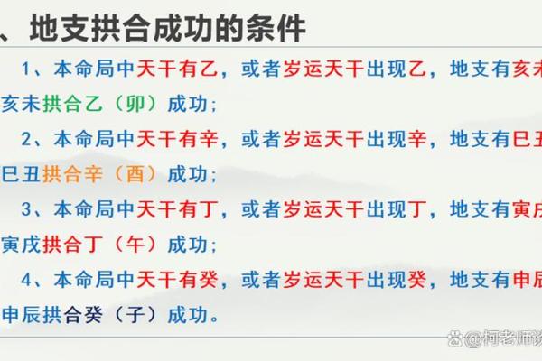 女命地支亥卯半合的深层解析与实用价值