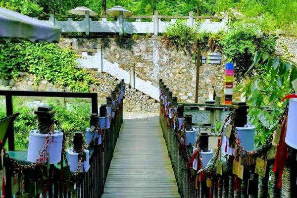 山头火命的秘密与人生旅程的交织