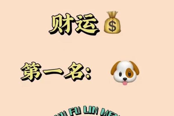 属狗大海水命者的吉祥物与佩戴指南