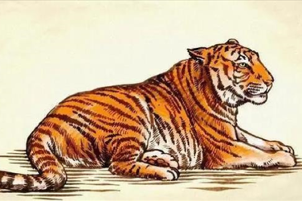 属虎的1962年：探索“水虎”命的独特魅力与人生智慧