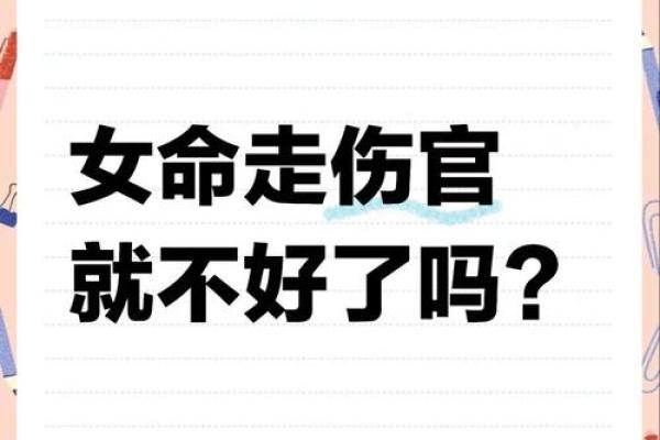女命的命运解读：探寻女人生命中的秘密与智慧