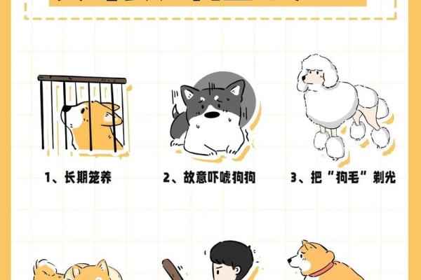 三十岁不结婚，狗生是怎样一番景象？