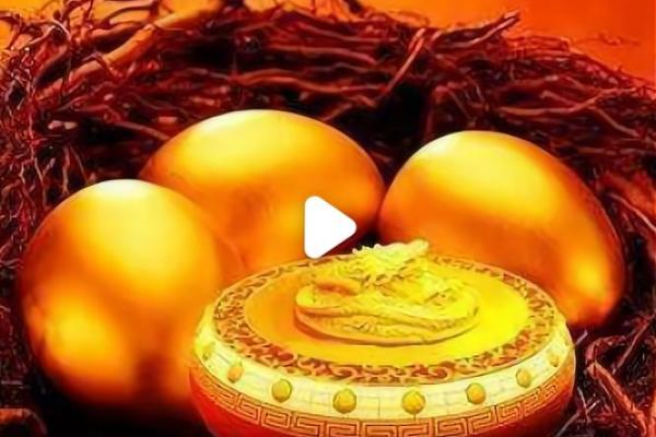 属狗女金命：适合的生意和创业之道解析