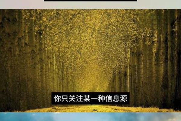 生命的命运之谜：如何理解一条命的命运与性格