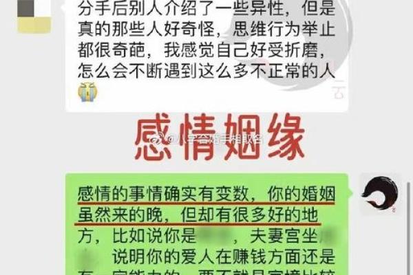 女木命与理想婚配——揭示天生的缘分与契合