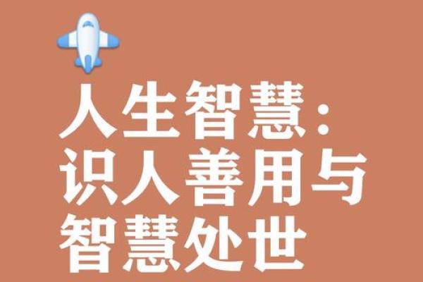 倪萍老师的五行命理探秘:水火相融的智慧之道 倪萍老师的五行命理探秘:水火相融的智慧之道